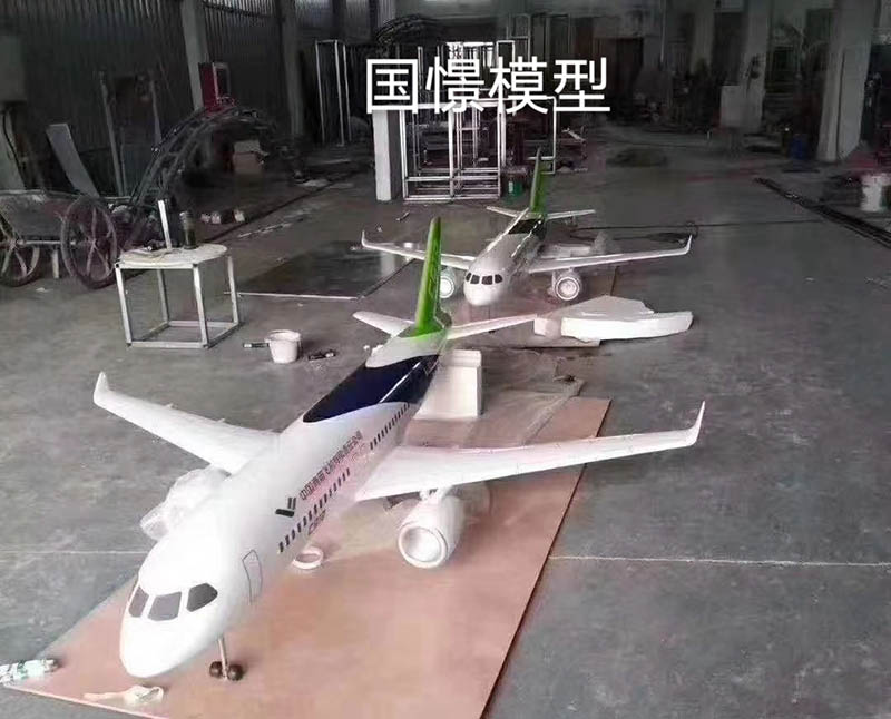 邵东市飞机模型